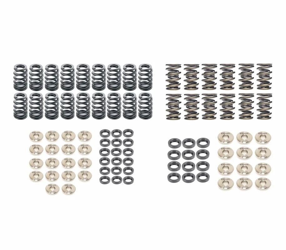 Ferrea Complete Single/Dual Valve Spring Kit - VW/Audi 2.7T 30V
